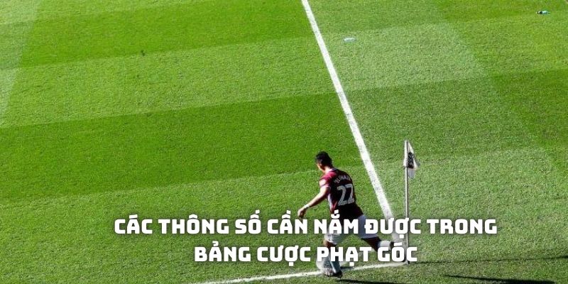 Các thông số cần nắm được trong bảng cược phạt góc