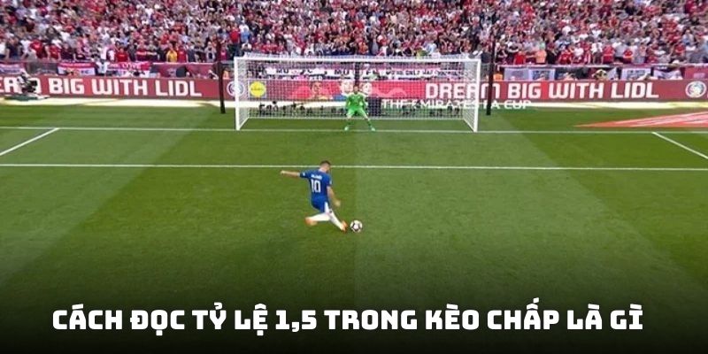 Cách đọc tỷ lệ 1,5 trong kèo chấp là gì cho thành viên hiểu rõ