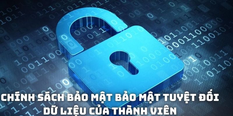 Chính sách bảo mật bảo mật tuyệt đối dữ liệu của thành viên