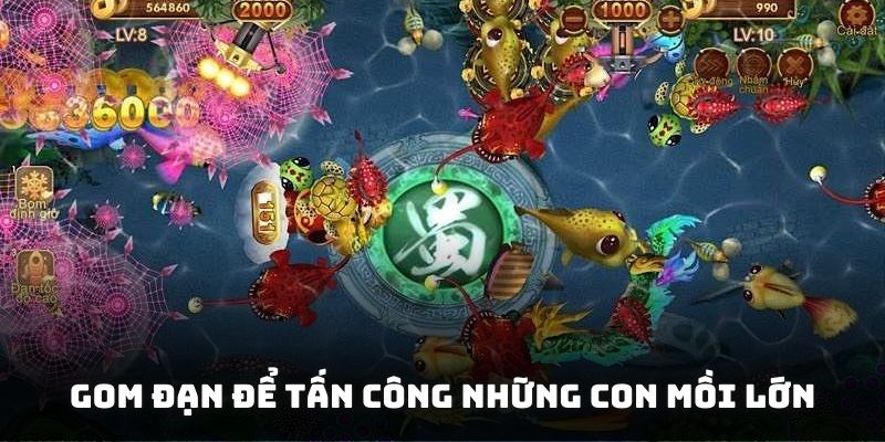 Gom đạn để tấn công những con mồi lớn
