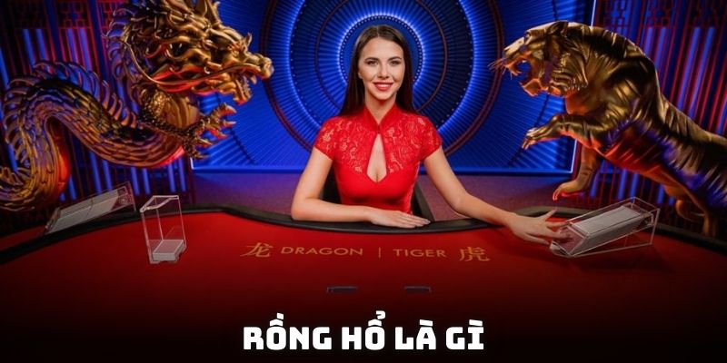 Rồng Hổ là gì