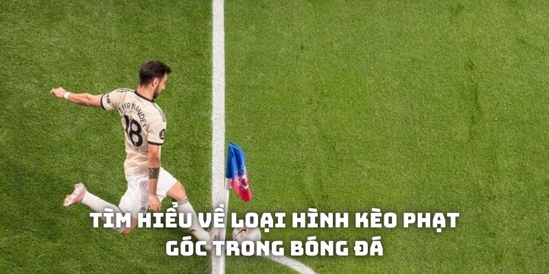 Tìm hiểu về loại hình kèo phạt góc trong bóng đá